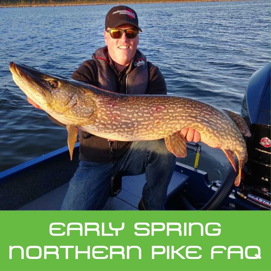 10 Things You Need To Know About Early Spring Northern Pike : Mark Harder